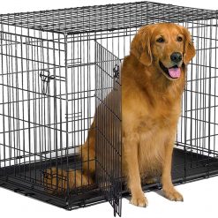 Dog Crates & Kennels
