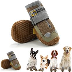 Boots & Paw Protectors