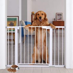 Indoor Safety Gates & Gate Extensions